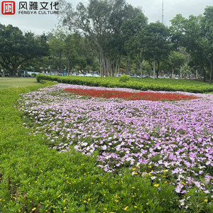 爆乳ギャルの豊満在线
